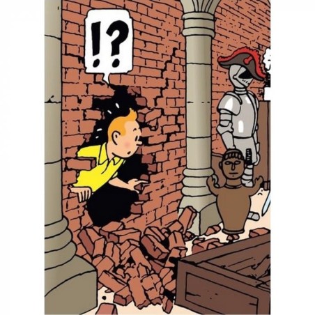 Tintin - Plastficka A4 - Enhörningens hemlighet 1